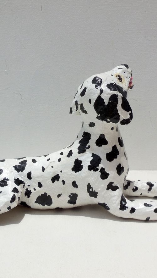 Dalmatian Dog by Shweta  Mahajan