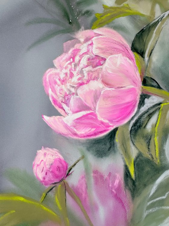 Pink Peony 2