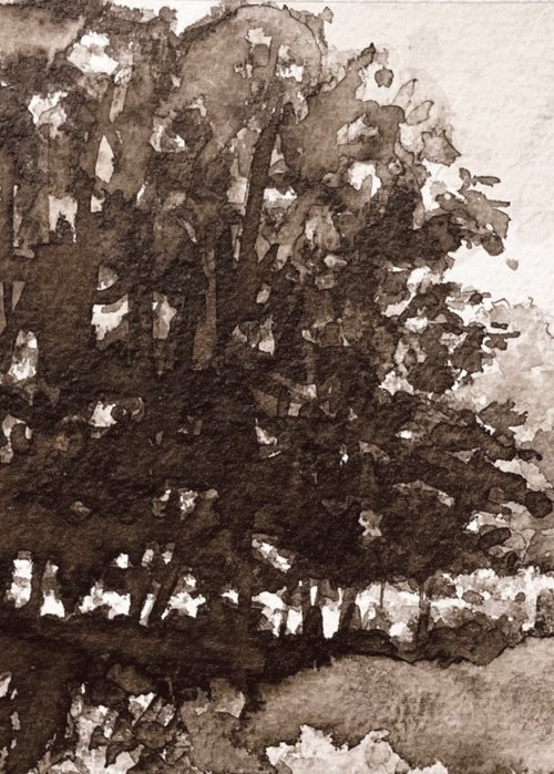 Treeline and Field by John Fleck