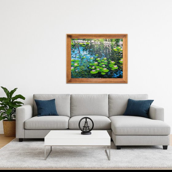 Waterlily pond