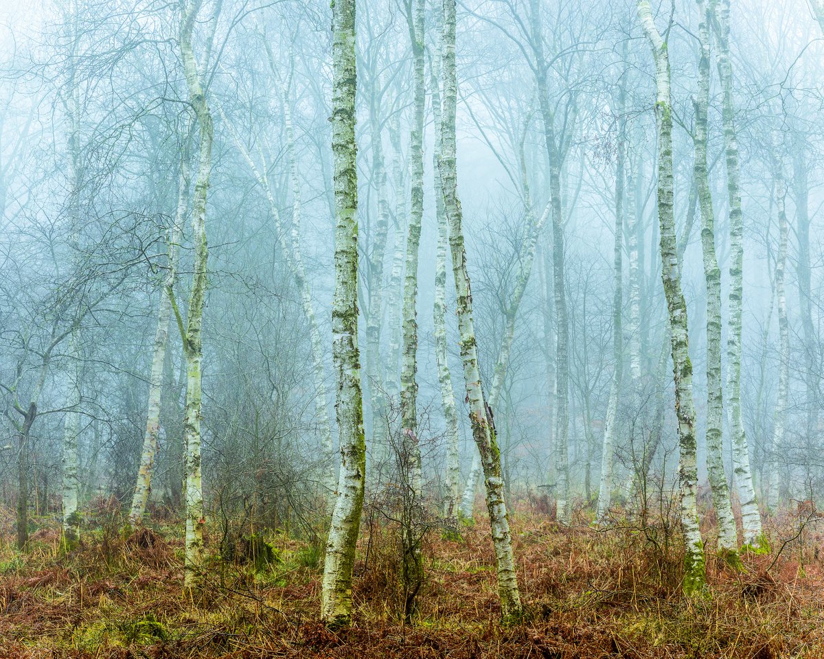 Thin Men in the Mist by Nigel Hudson