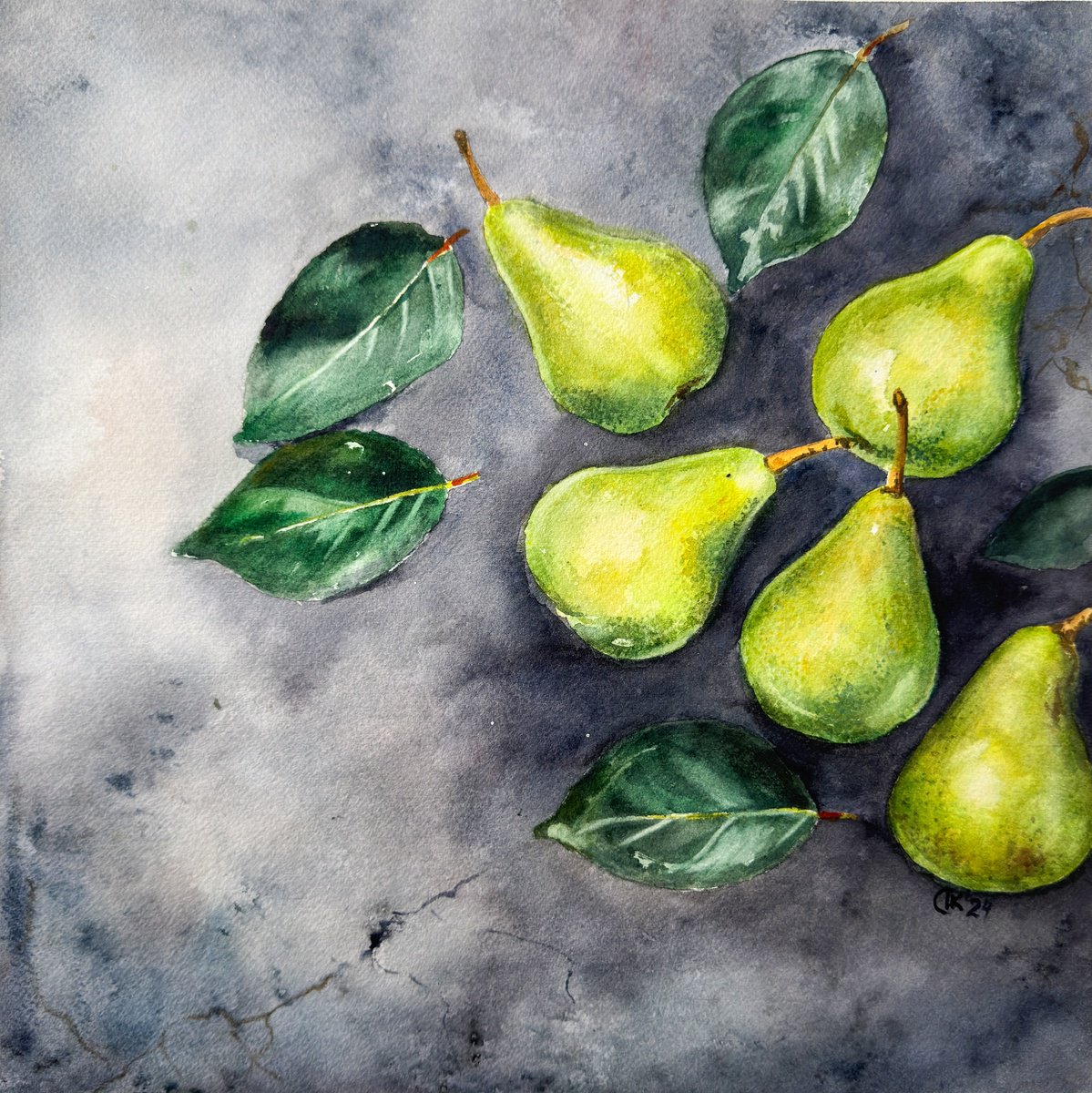 Photorealistic Watercolour , Through The Wall: Green Pears 3 By Irina Kurganskaya, 12 X 12, Artwork For Sale On Artfinder