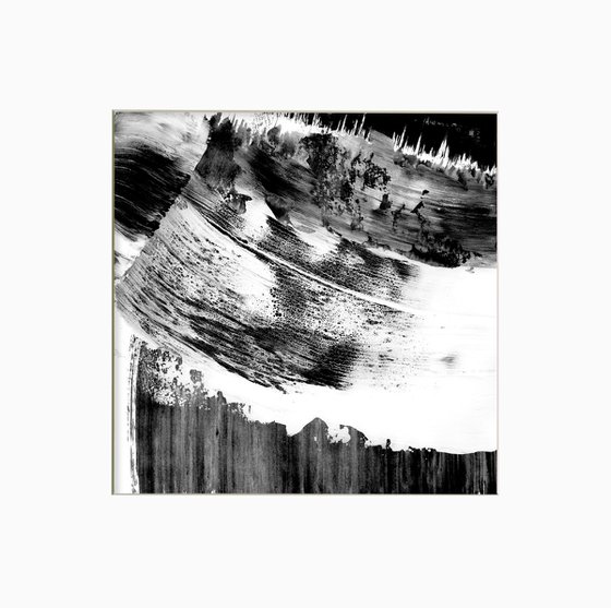 Brush Dance Collection 24
