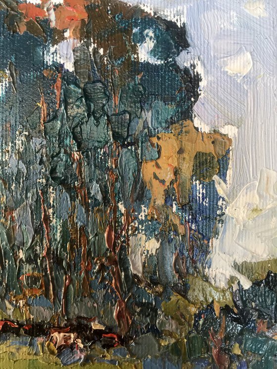 In the Shadow of Sedge