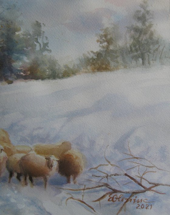 Lost Sheep