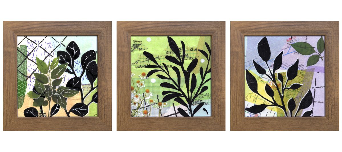 Graphic Botanical Collage By Ariadna De Raadt, 15 X 5, Urban Nature 4, Original Artwork