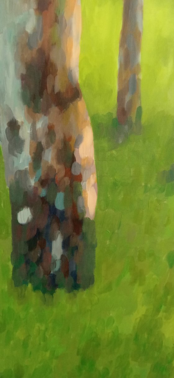 Birches