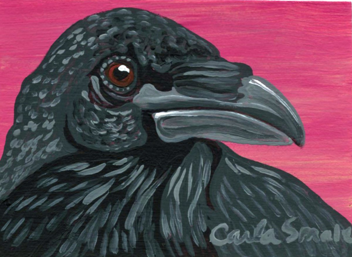 Crow Raven by Carla Smale