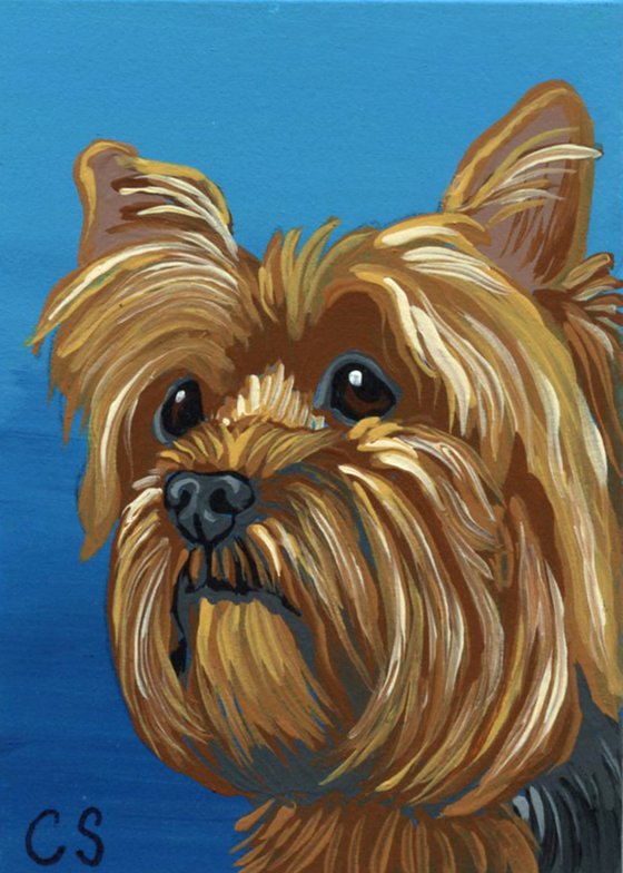 ACEO ATC Original Miniature Painting Yorkie Yorkshire Terrier Pet Dog Art-Carla Smale