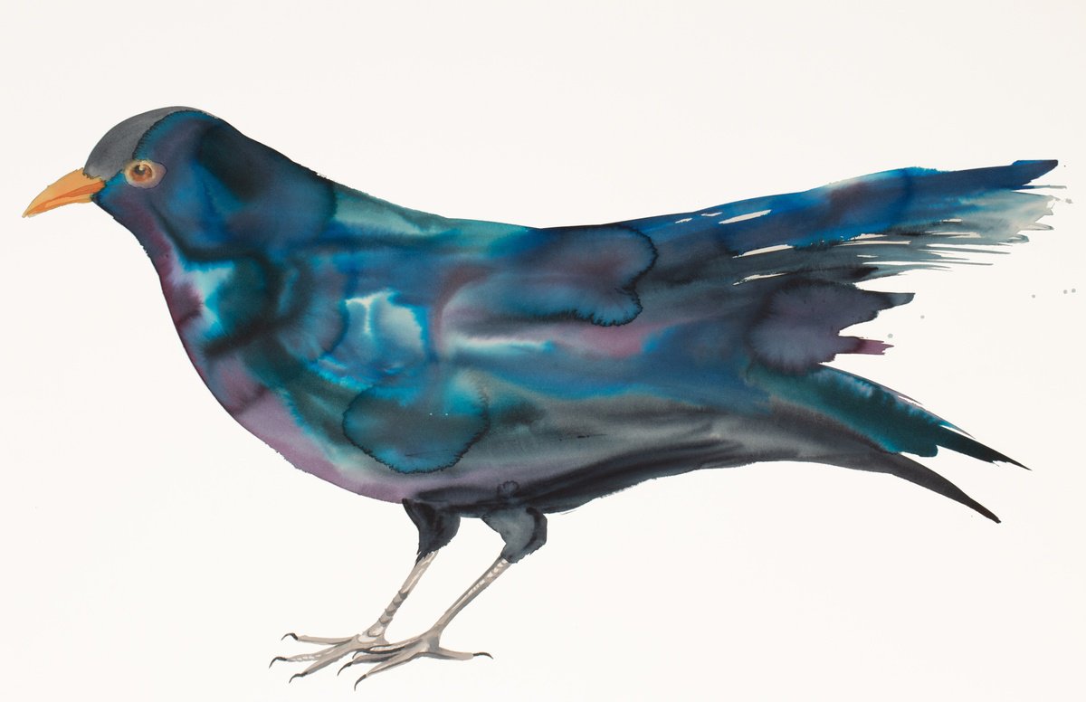 Expressive Animal Watercolour By Elizabeth Becker, 40 X 26, Blackbird, Original Artwork