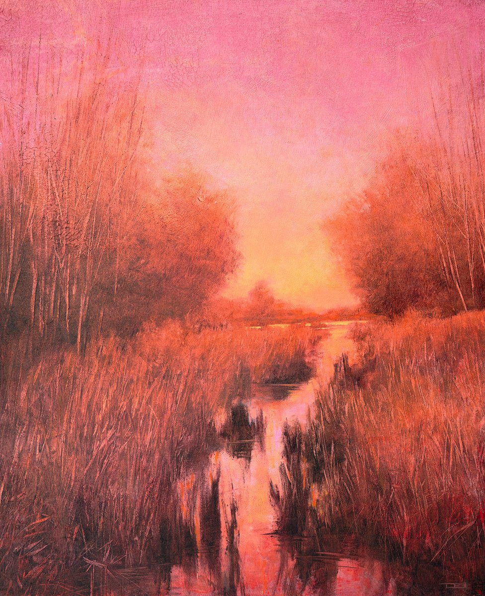 Marsh Sunset 25121 By Don Bishop, 16 X 20, Artwork For Sale On Artfinder