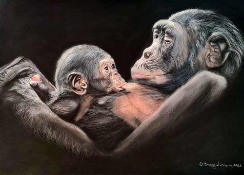 ,, Mother's Love'' realism gorillas pastel on pastelmat by Deimante Bruzguliene