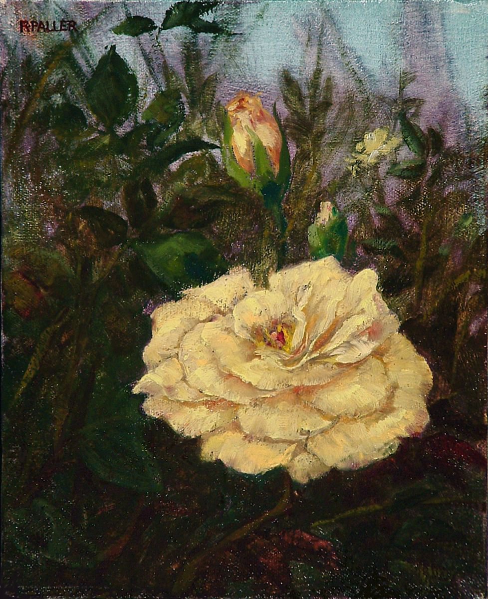 Photorealistic Botanical Oil Painting By Rick Paller, 8 X 10", Butterscotch Rose, Original Artwork