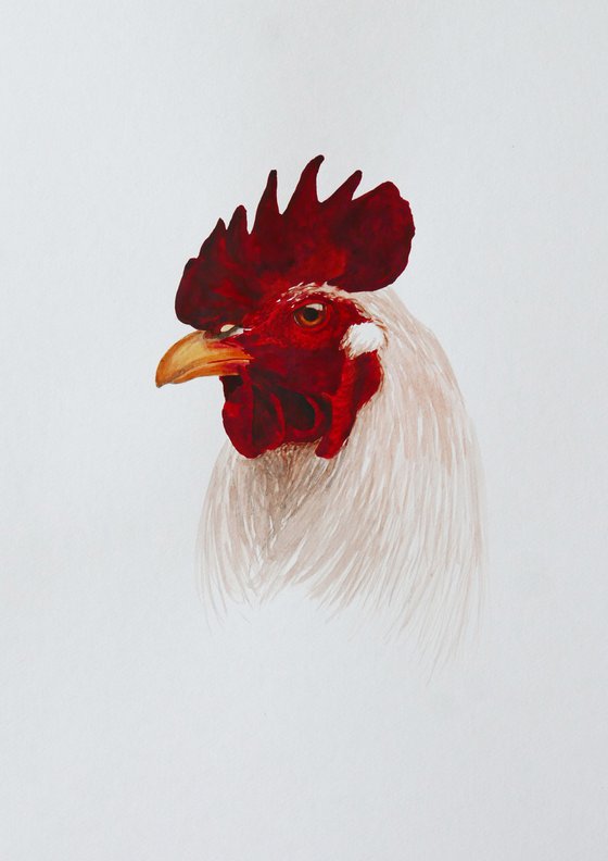 Small rooster