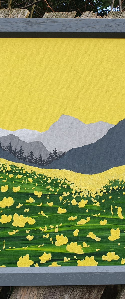 Alpine Meadow, The Lake District by Sam Martin