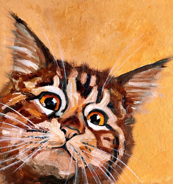 Tabby Cat