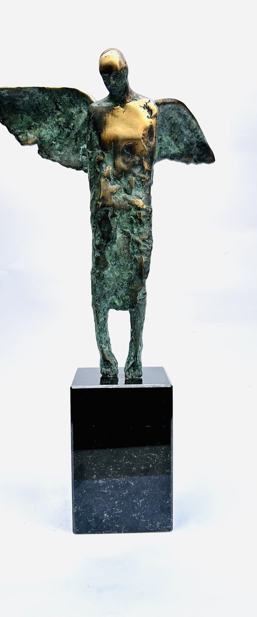 Earthed Angel, no EA IV/IV by Joanna Cholewa
