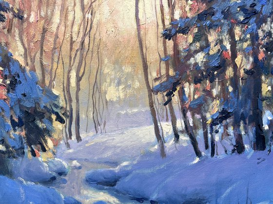 Lit Winter Stream