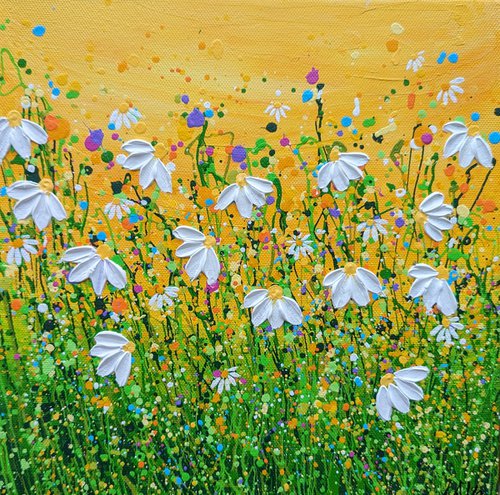 Morning Daisy Delight #7 by Lucy Moore