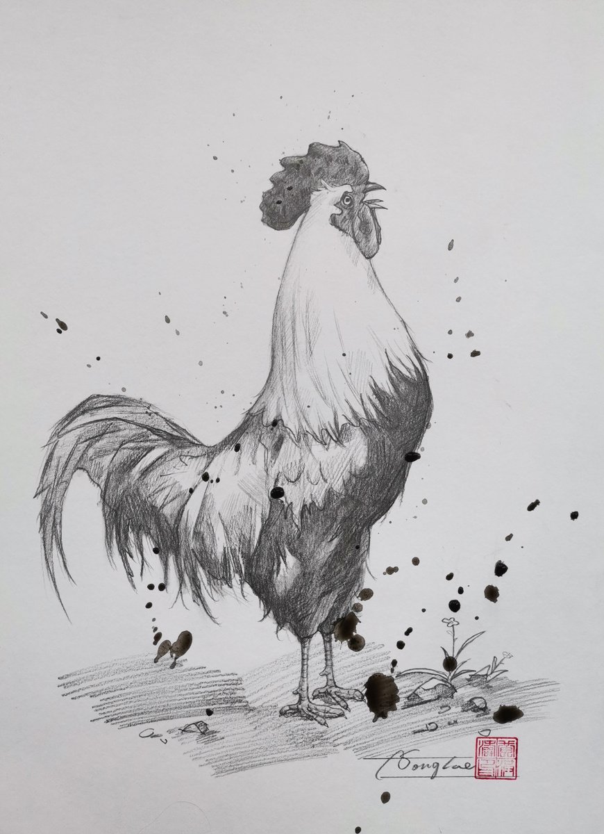 Drawing- Big Cock #20828 by Hongtao Huang