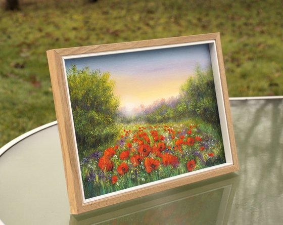 Sunset on the poppy field