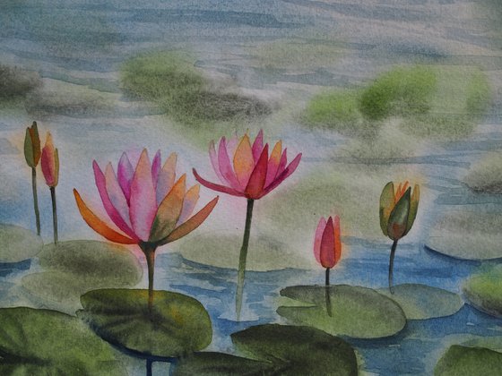 Misty lotus pond