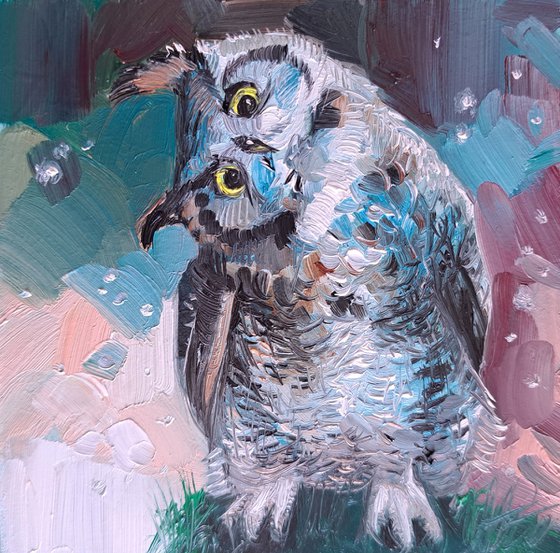 Owl bird blue