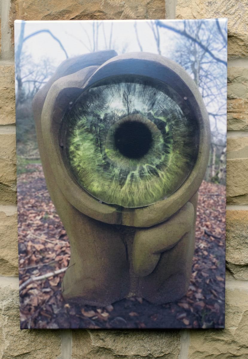 The Eye by Andrew Vickers