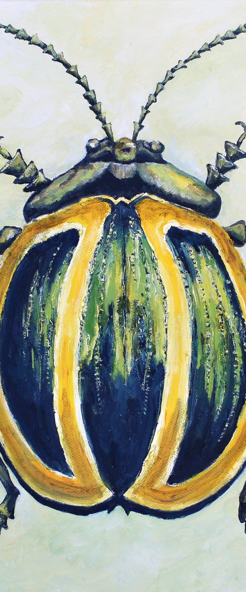 Green and Yellow Striped Beetle by Laura Gompertz