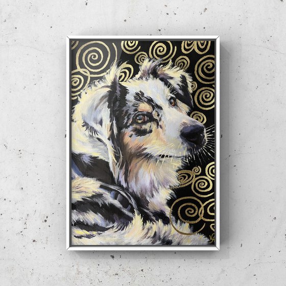 Australian shepherd