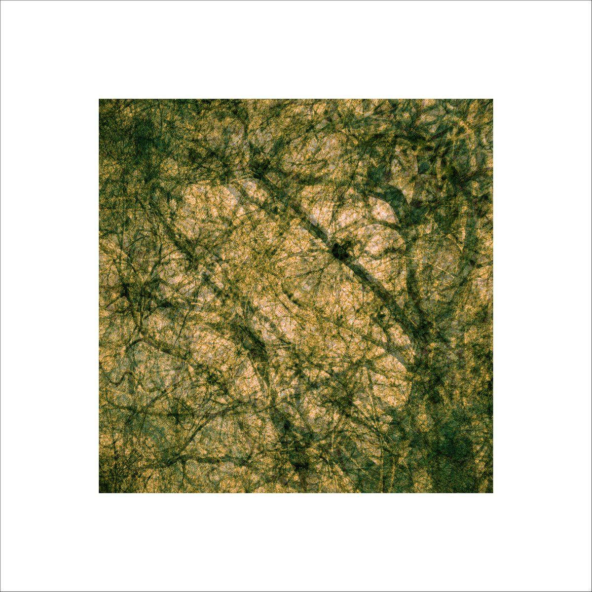 Abstract Giclee Print By Paul Harrison, 30 X 30", Signs #7, Original Artwork