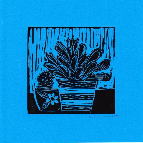 Cactus Pot  on a blue background by Catherine O’Neill