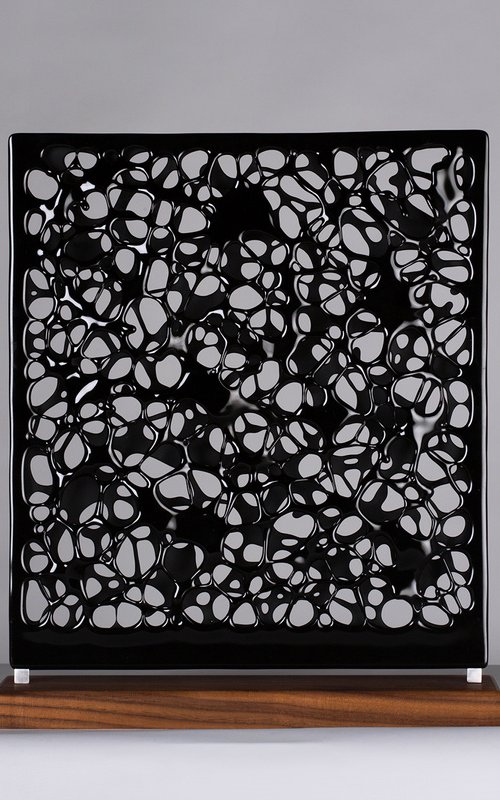 Fragile Lace by Tracy Nicholls