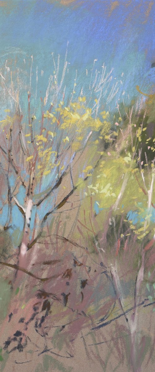 First leaves by Victoria Ramanovich