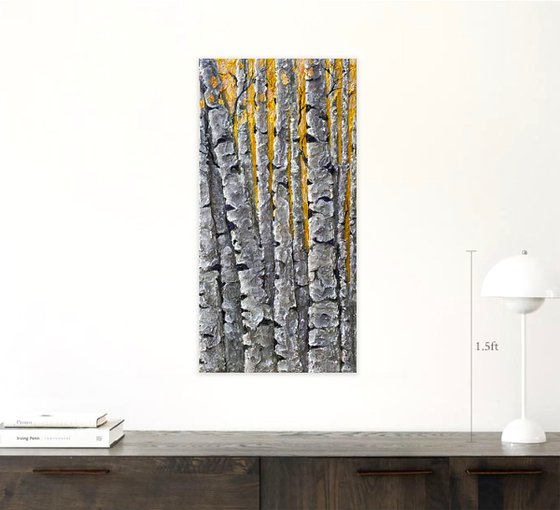 Textured  Thick Birch Trees
