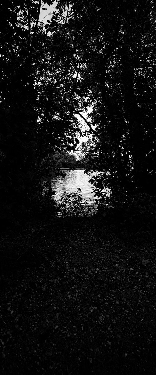 Through the Woods by David Huntzinger