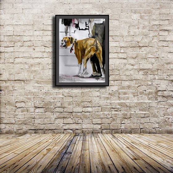 Boxer