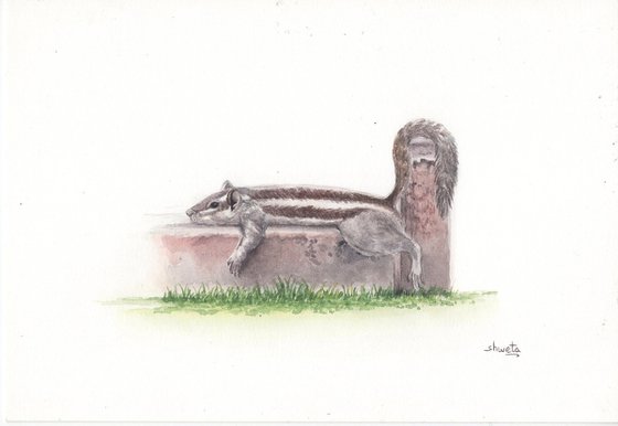 Garden Squirrel