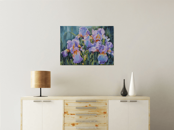 PINK IRISES#4