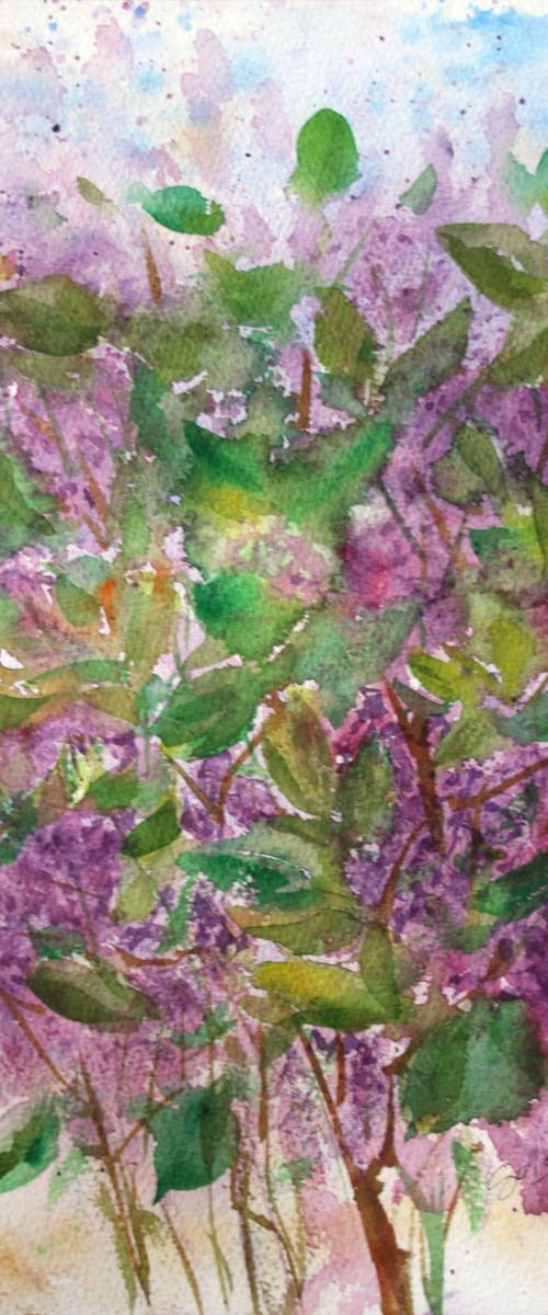 Lilac Bush /  ORIGINAL PAINTING by Salana Art Gallery