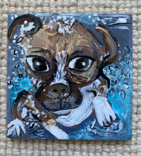 Pets Portrait Acrylic Painting of Dog Underwater Catch Tennis Ball Fun Art Home Decor Gift Ideas