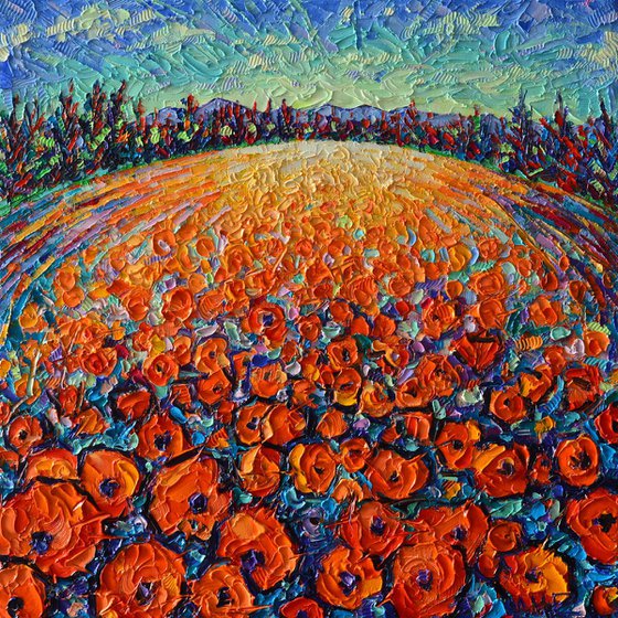 POPPIES ROUND MAGIC contemporary impressionism abstract landscape original palette knife impasto oil painting by Ana Maria Edulescu