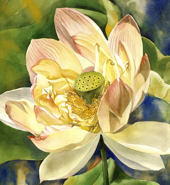 Enchanting lotus