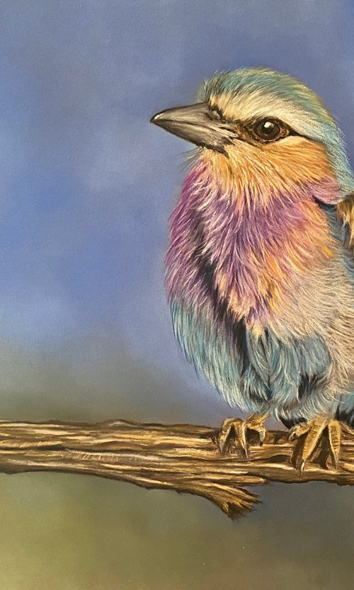 Lilac breasted roller bird painting by Maxine Taylor