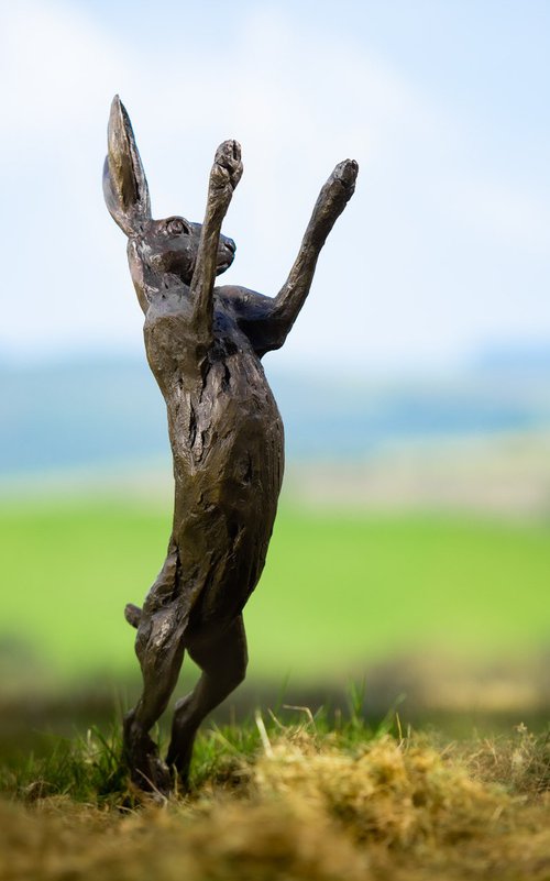 Spring Hare Foundry Bronze by Tanya Russell