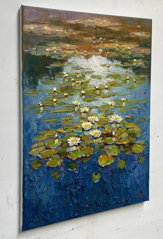 "Water lilies"