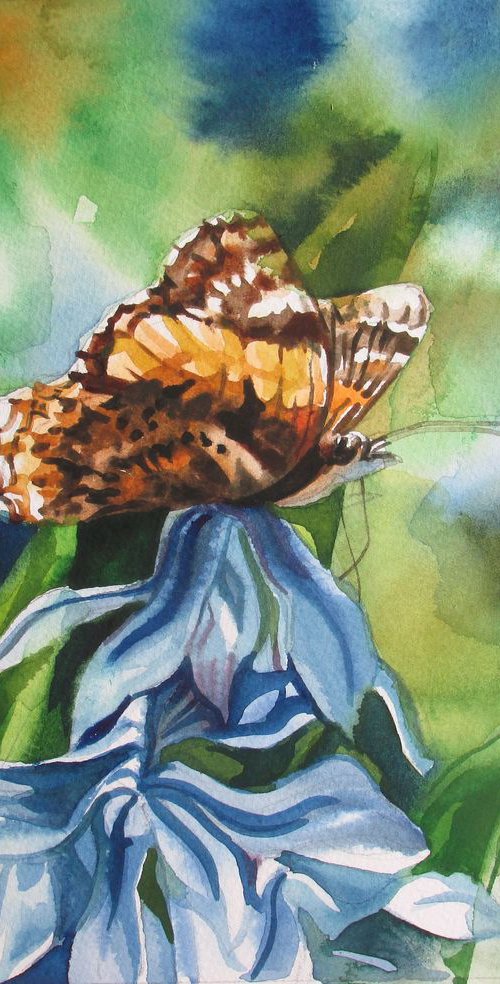 butterfly with scilla by Alfred  Ng