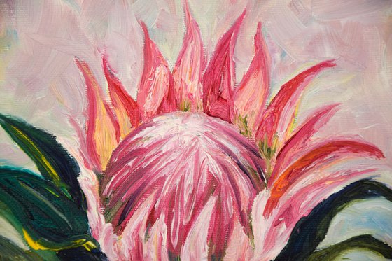 Flower protea original oil painting on canvas, pink plant in glass still life