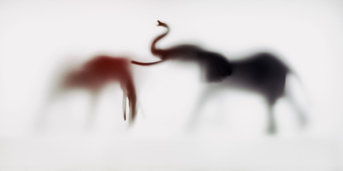 Abstract Animal Photograph By Sven Pfrommer, 55 X 28", Wild Lens - Elephant Xi, Original Artwork