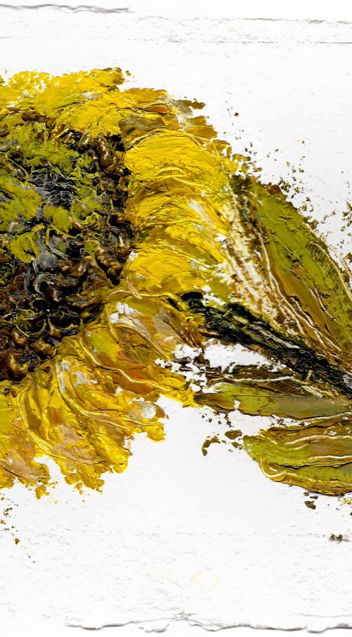 Still Life / Sunflower by Gozde Temiz Istanbul